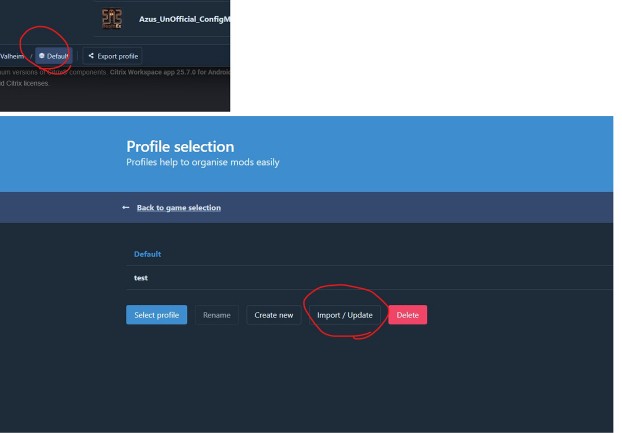 r2modman profile screen with the red Import / Update button highlighted on the left.